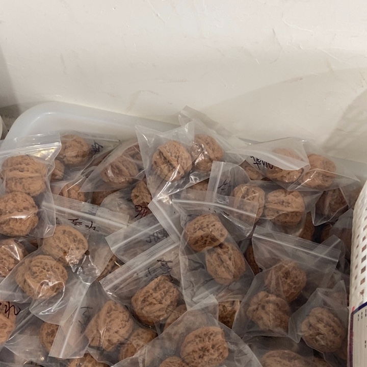 吊坠文玩核桃华北将军瑕疵