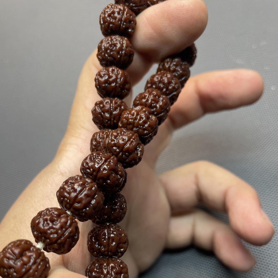 黑子出品印尼勿理达纯血老树王