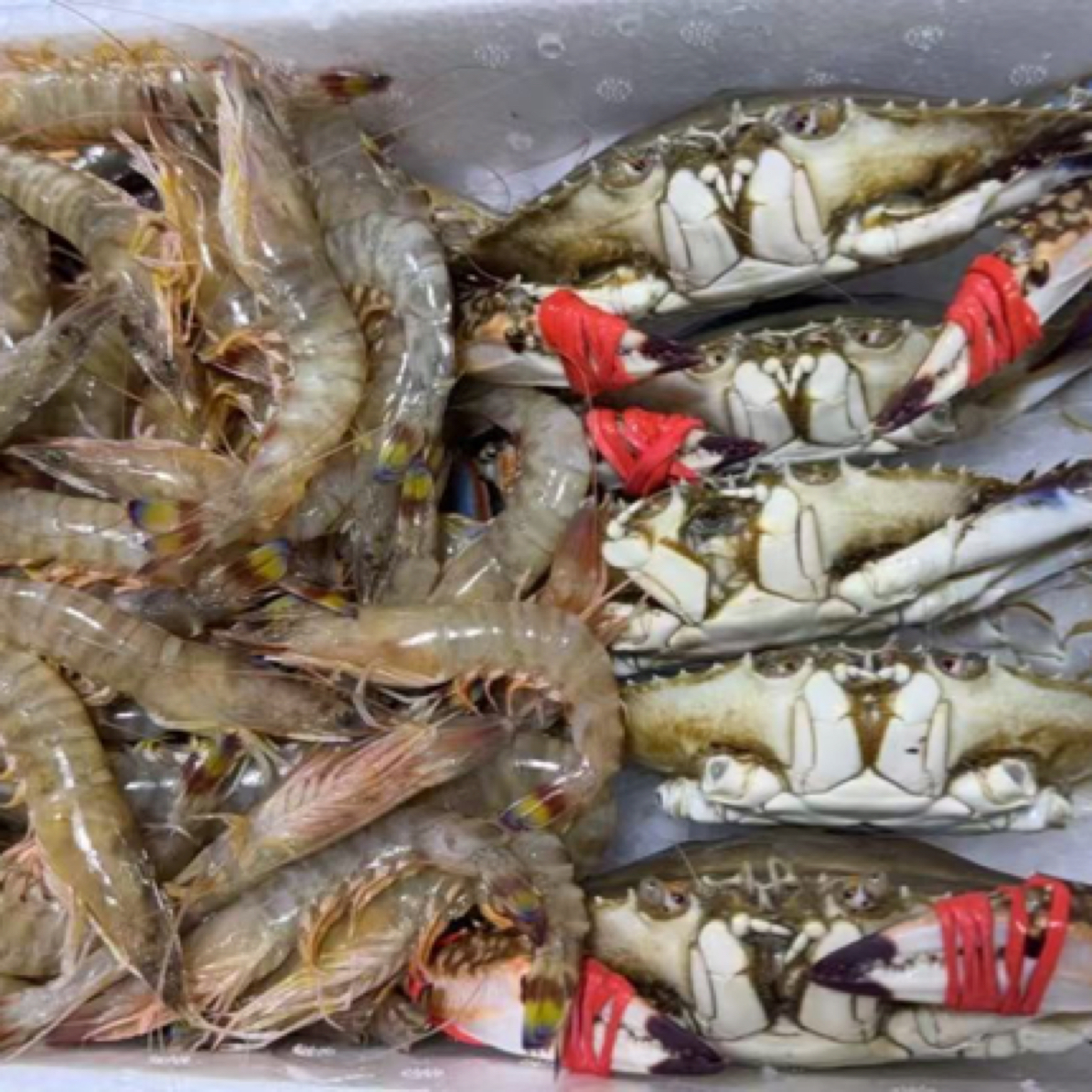 【牺牲混搭】大虾➕螃蟹4斤大虾同城送