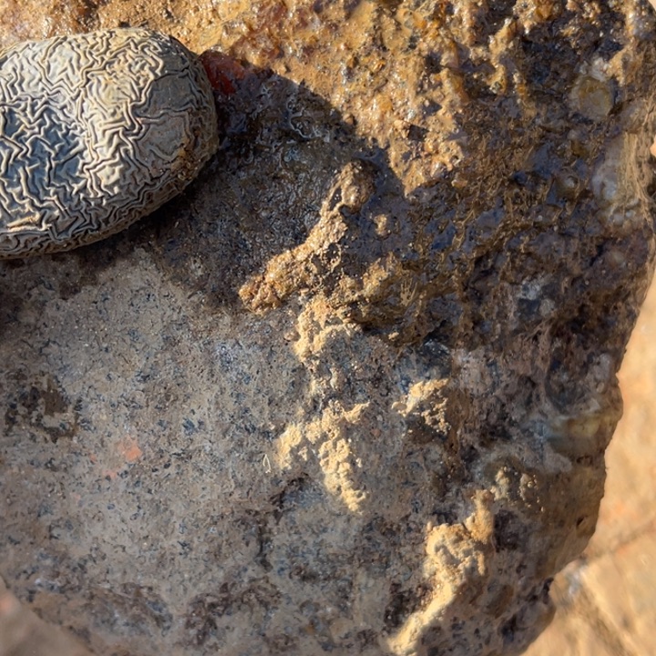 颖***姐定制玛瑙玛瑙手链手镯