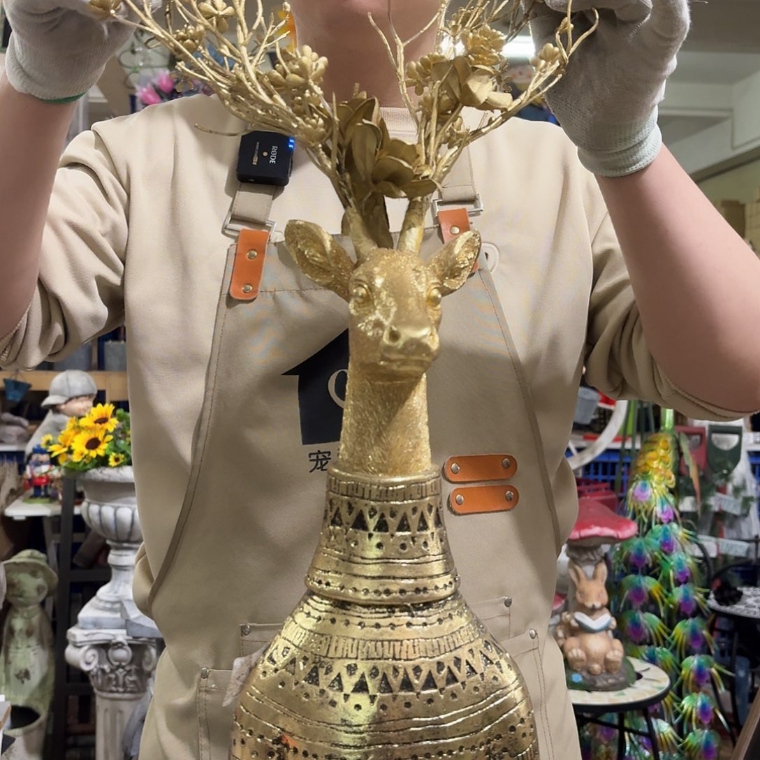 核桃木/黑胡桃（胡桃木）