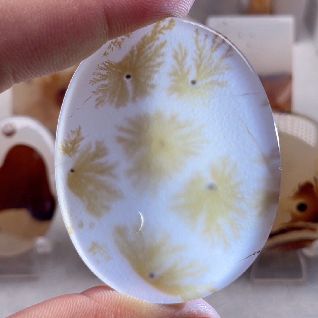 【闪购商品】玛瑙/玉髓颈饰合金