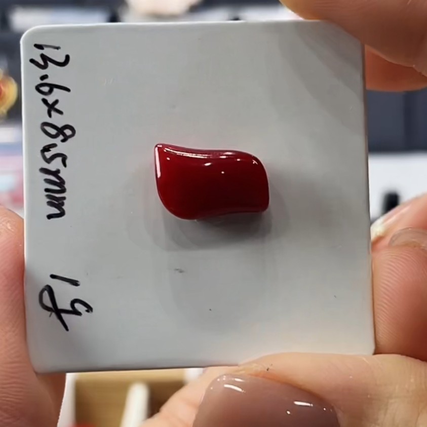 天然宝石红珊瑚裸石