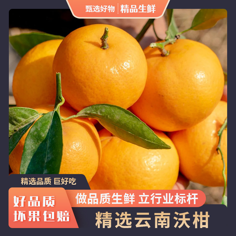 云南沃柑新鲜水果高原沃柑当季柑橘整箱产地直发