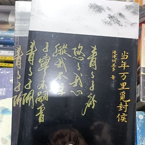当年万里觅封侯两本