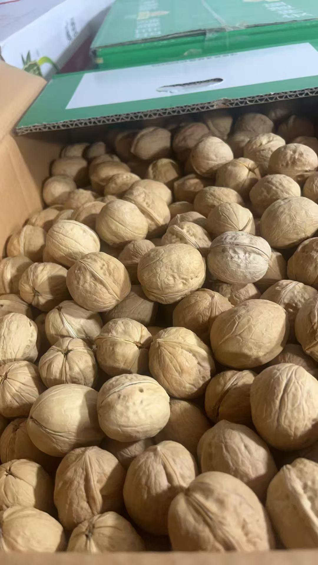 特产 核桃 3斤装