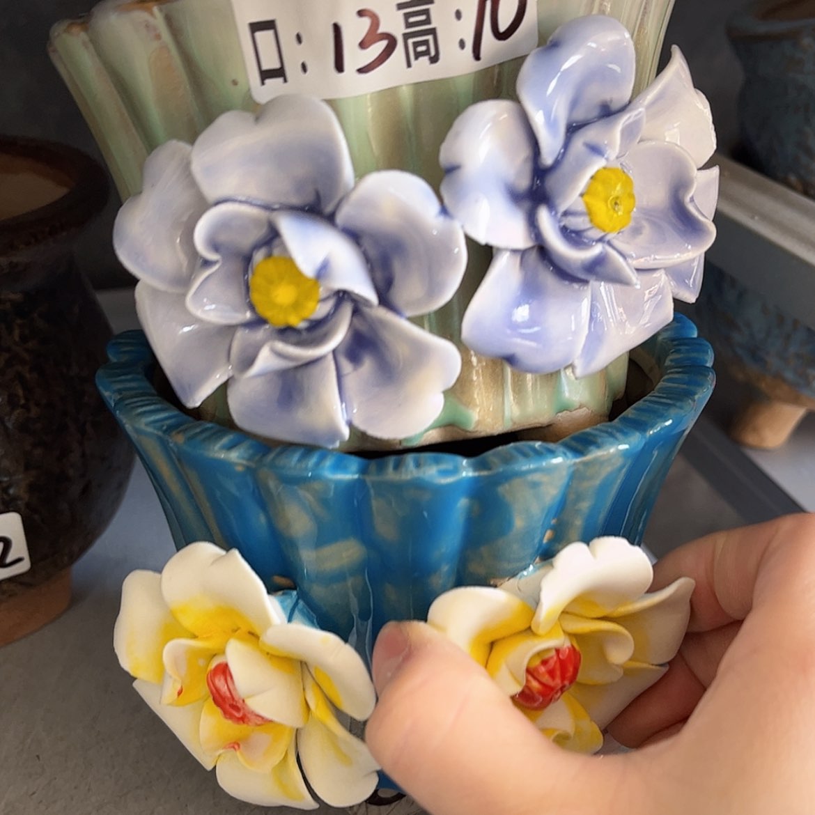 【闪购商品】红陶福利