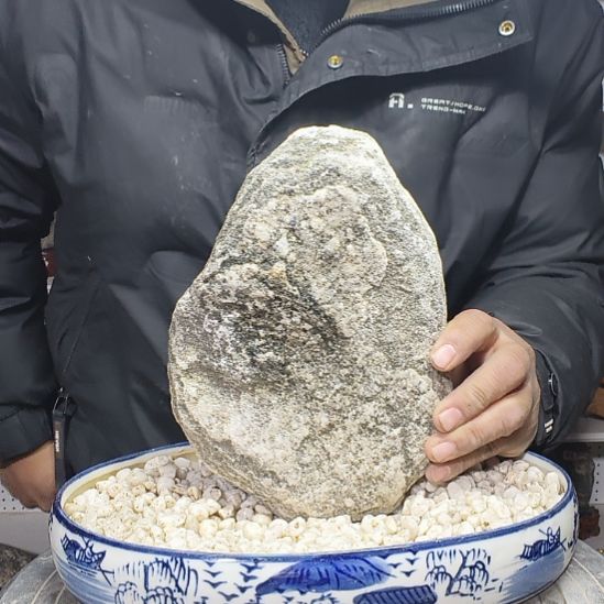 舒***珍天然葫芦雕刻天然