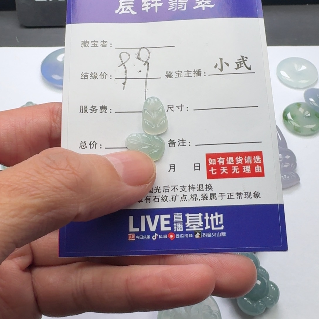 翡翠未镶嵌颈饰    5