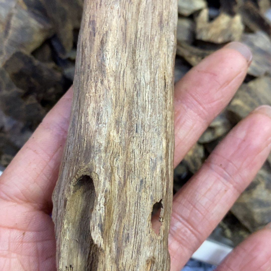 沉香沉香枕旭****我沉香红土虫漏17