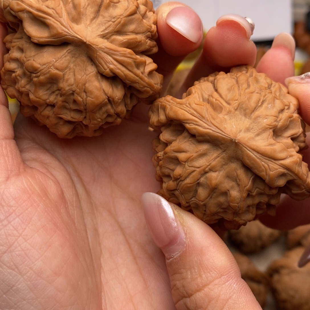 文玩核桃51龙鼎……