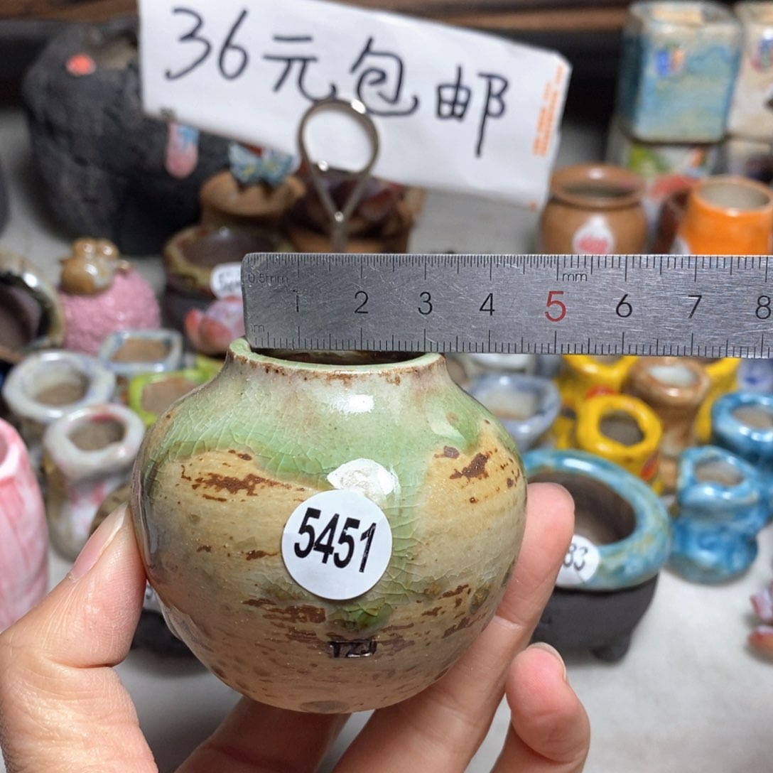 拍5送一个小礼物