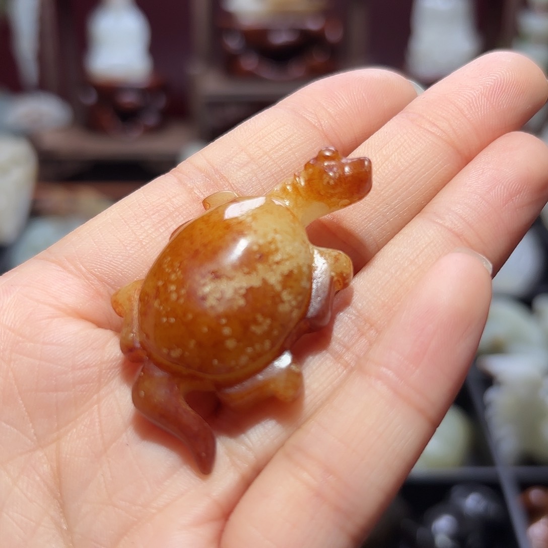 缸一物一图 所见所得