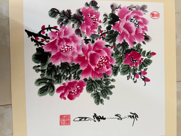 国画牡丹花装饰画不带框 50✖️50cm 自己画的