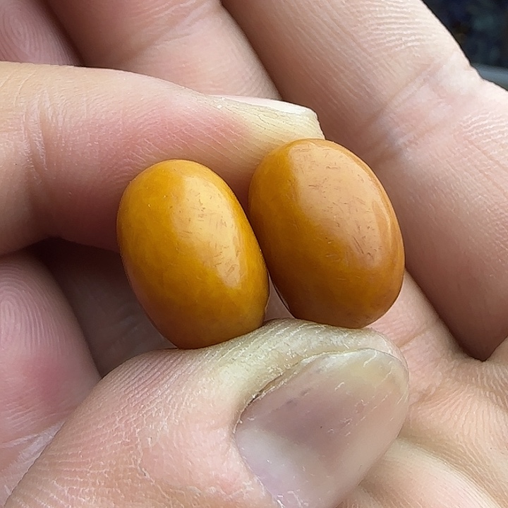 三***司吊坠白玉菩提精品