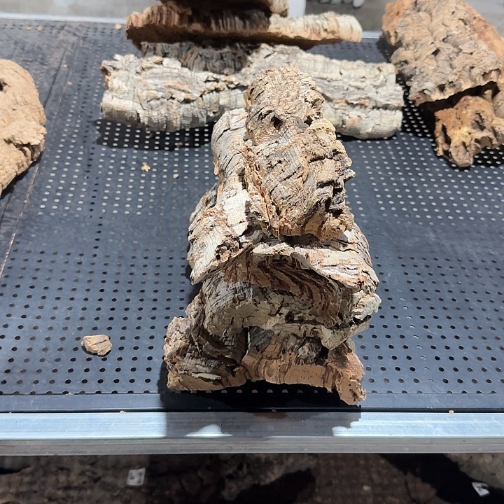 水***瓶无花朵一物一拍一物一发