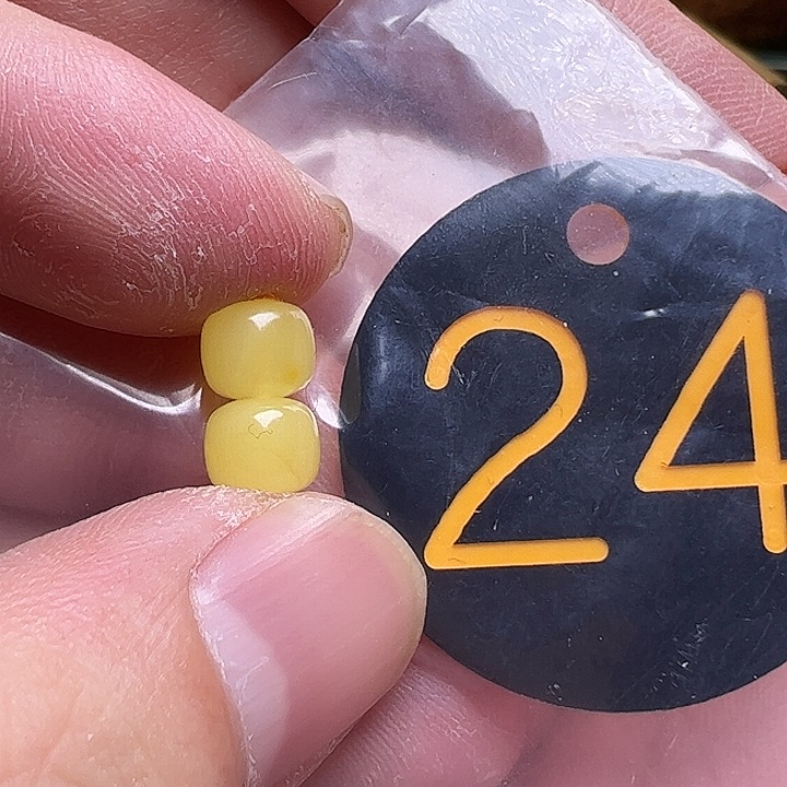 蜜蜡未镶嵌珠宝奇石7mm