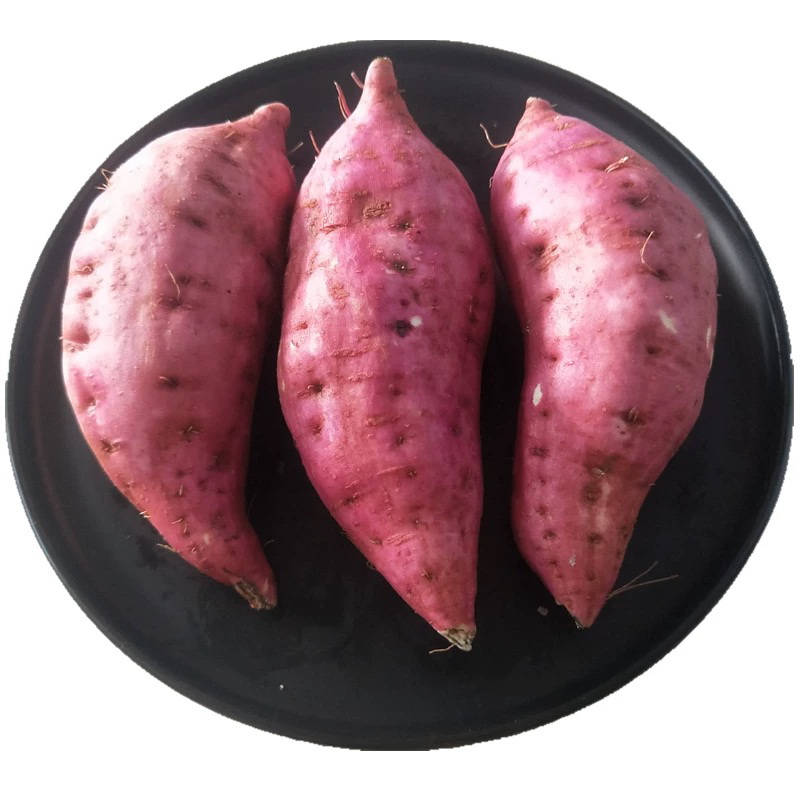 湘西农家自种红薯大小混发