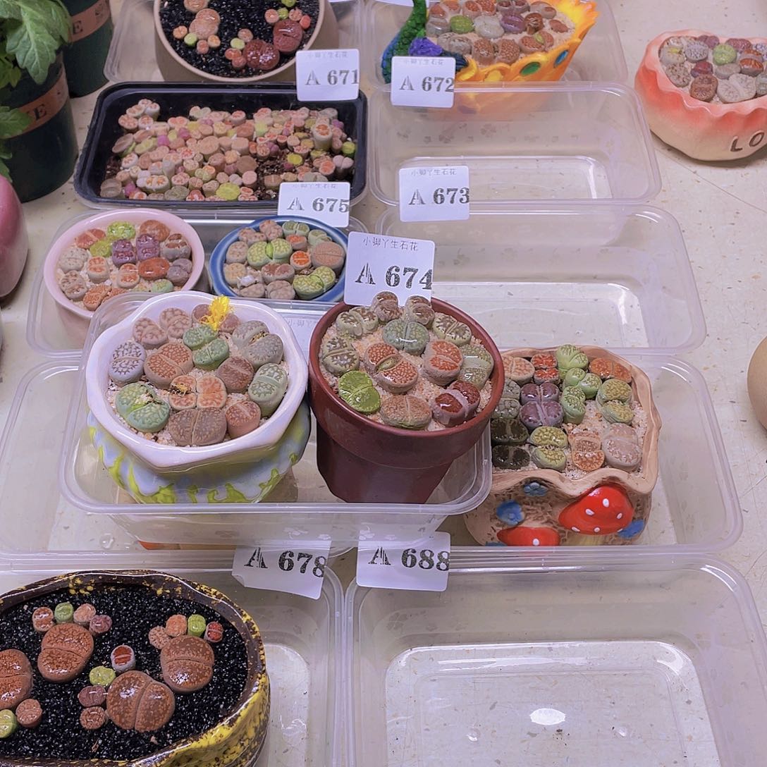 674……开播后的第一个节目是在