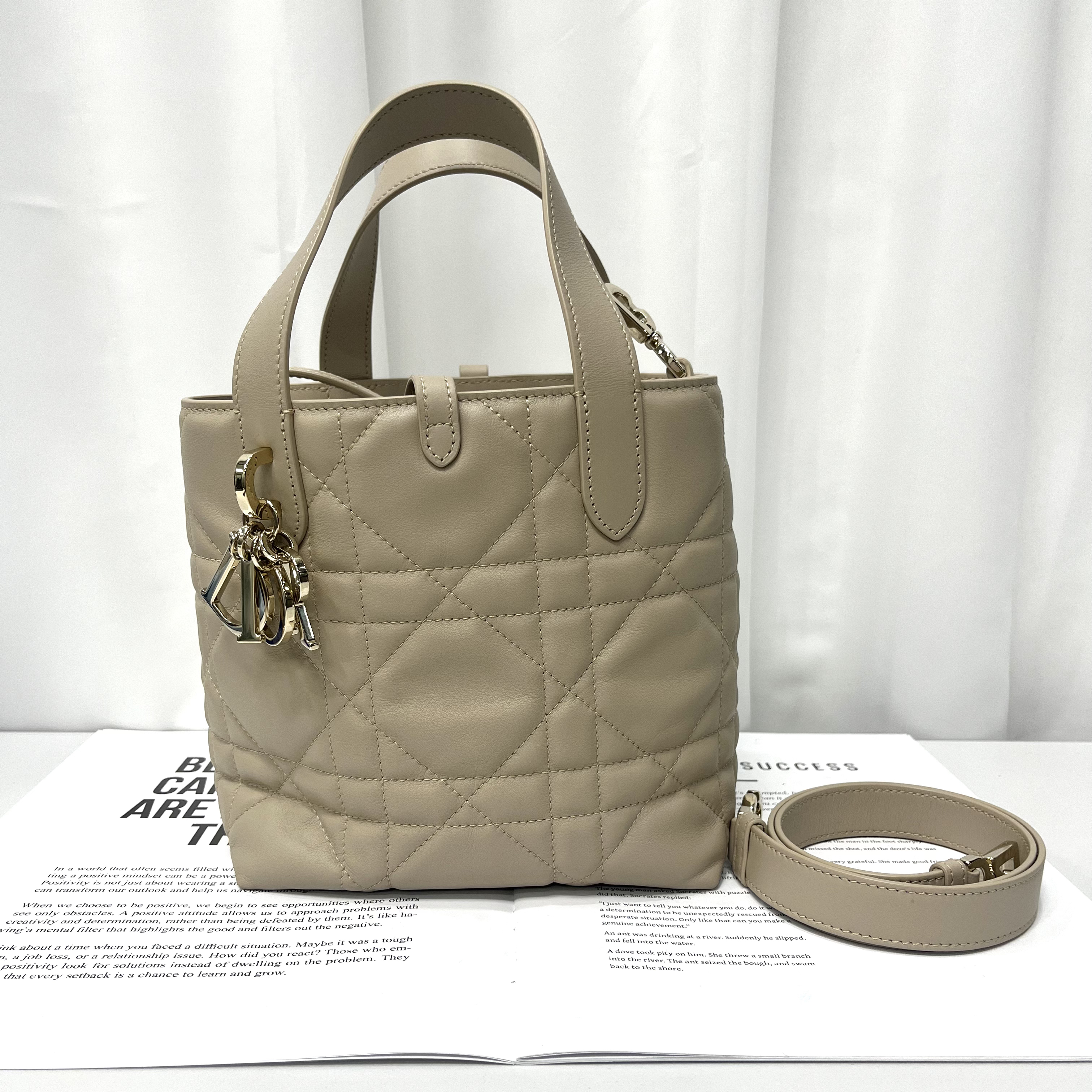 99新 DIOR/迪奥 Dior/迪奥 Toujours竖版小号胭脂米色25年编码