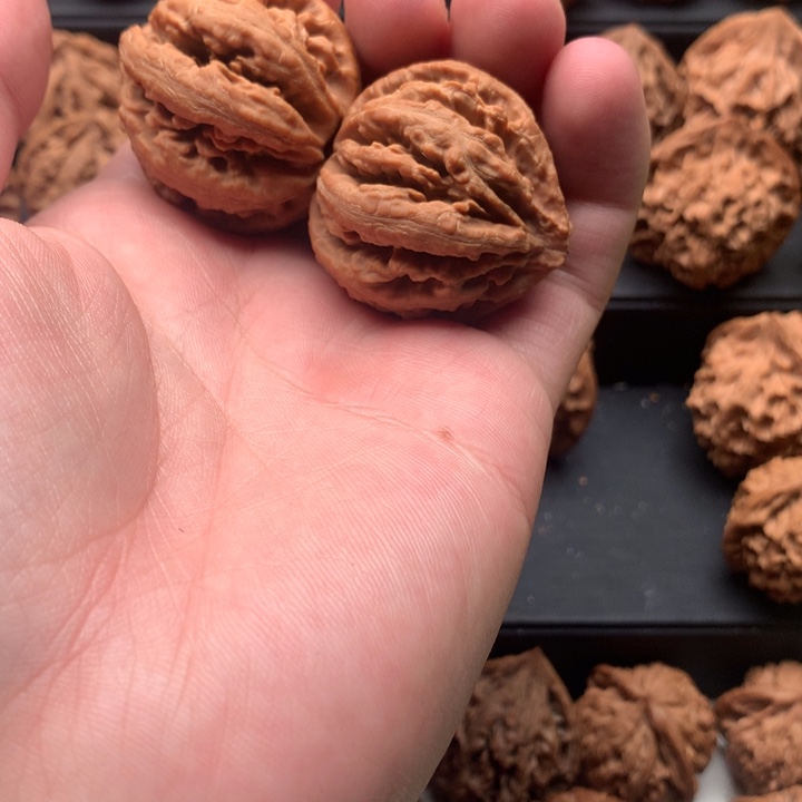 其他核桃E****i秦岭灯笼