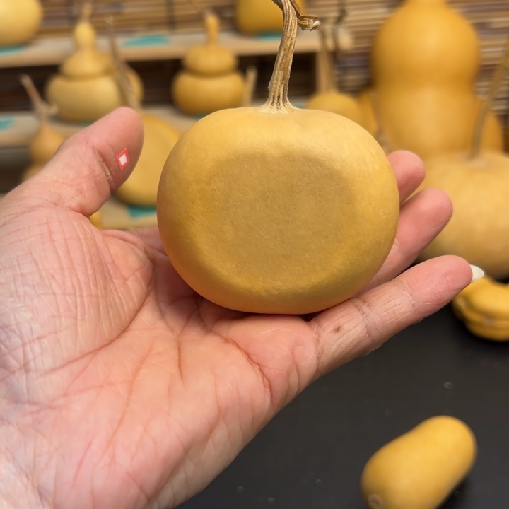 高****嫃葫芦葫芦葫芦葫芦葫芦葫芦