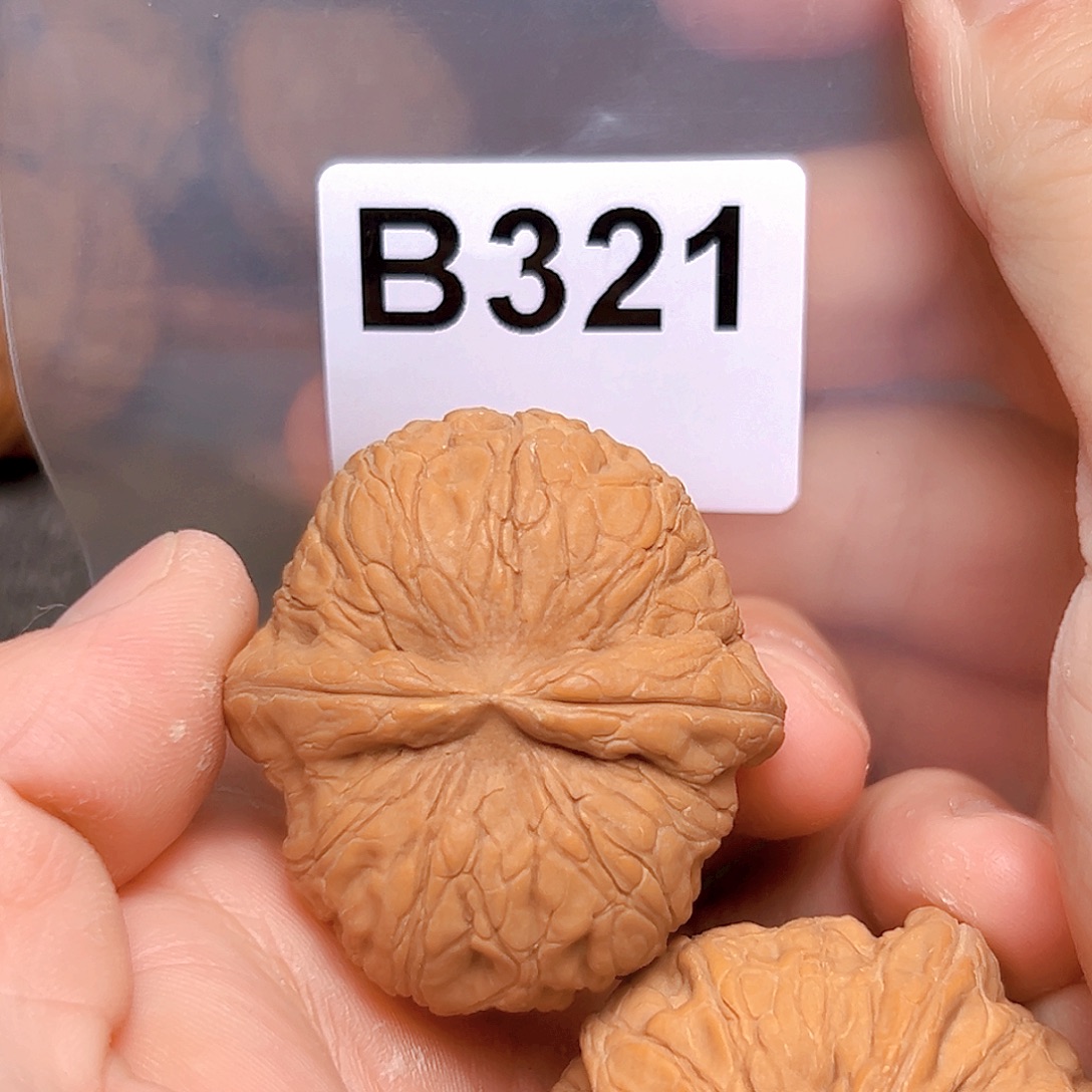 吊坠文玩核桃44元宝 