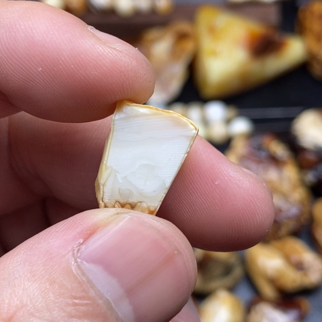 小***爸定制琥珀未镶嵌定制琥珀定制