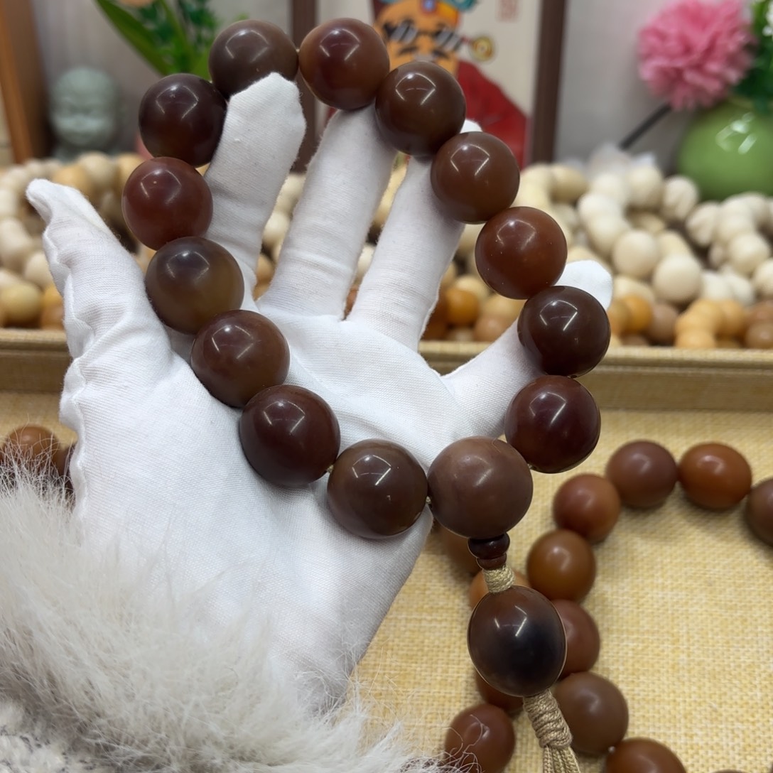 吊坠菩提根/象牙果21+干磨瑕疵落地果稀有随行手持810