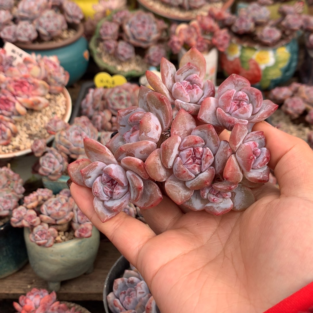 哈哈哈哈哈哈哈哈8