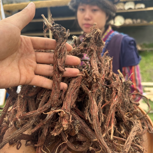 藏丹参西藏波密高海拔山货