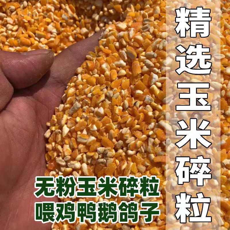 东北玉米粒玉米鸡鸭饲料喂鸡鸽子家禽钓鱼打窝天内发货