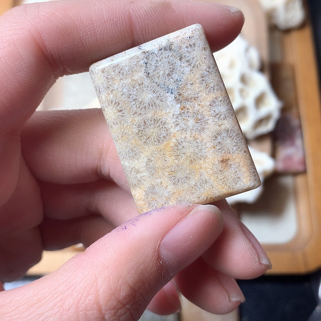 石英质玉颈饰未镶嵌