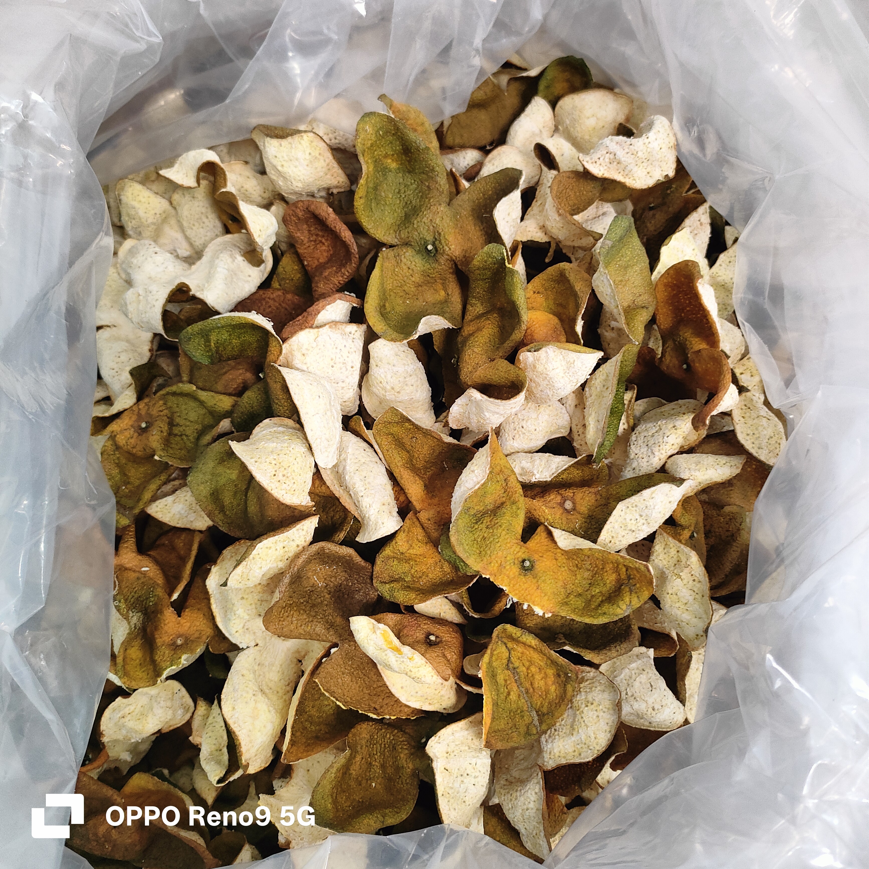 2025年广西浦北茶枝柑二红陈皮（中小皮）