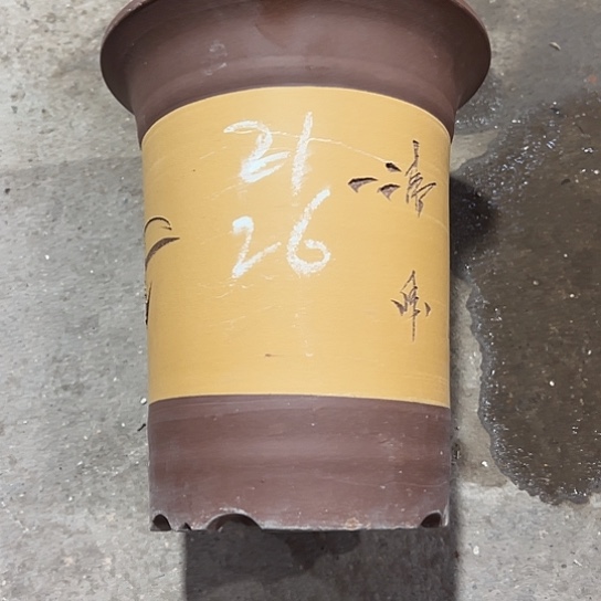 紫砂工艺厂……紫砂工艺厂……