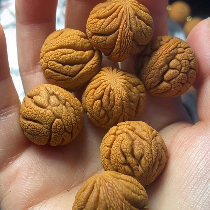 桃核吊坠秦岭野生桃核