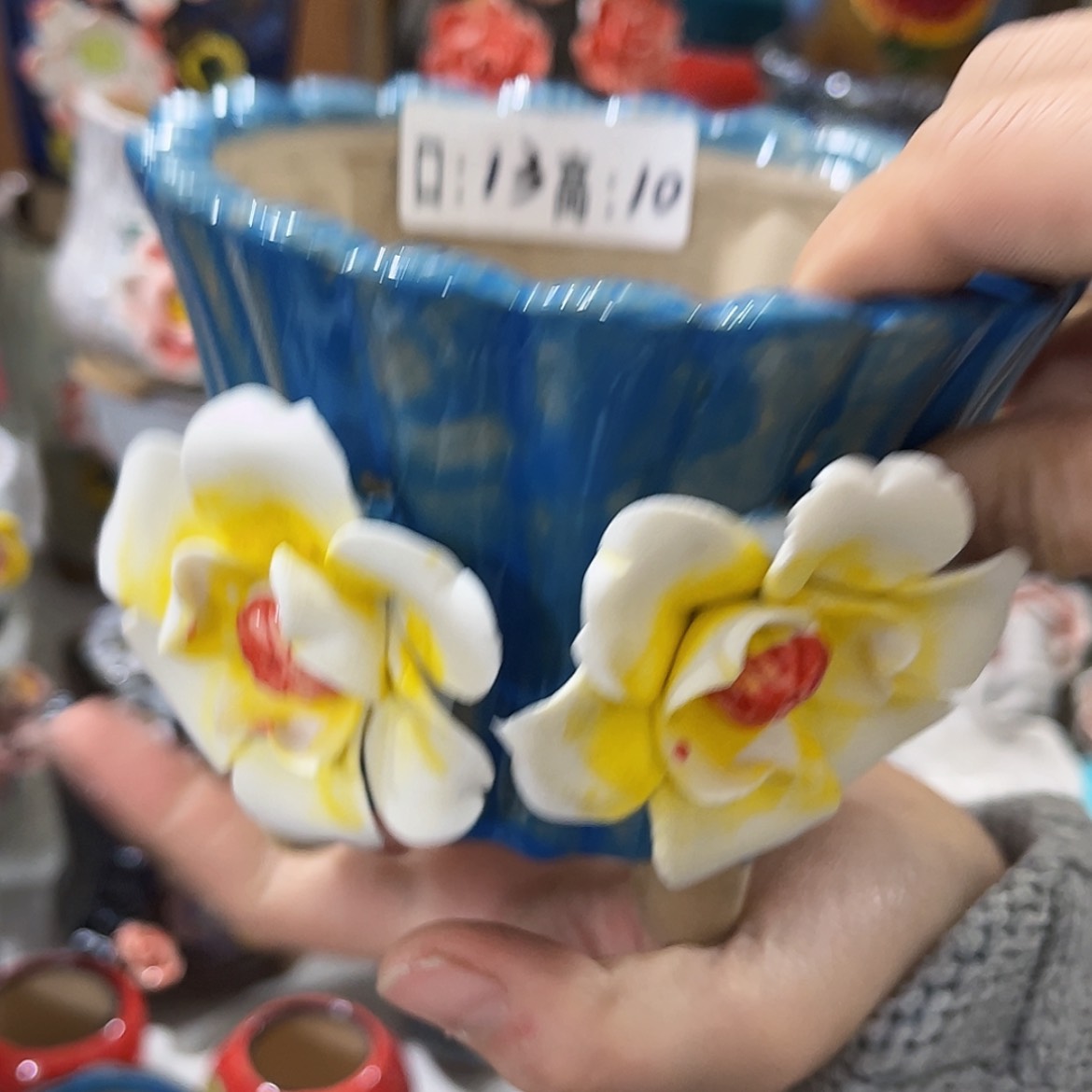 【闪购商品】红陶福利