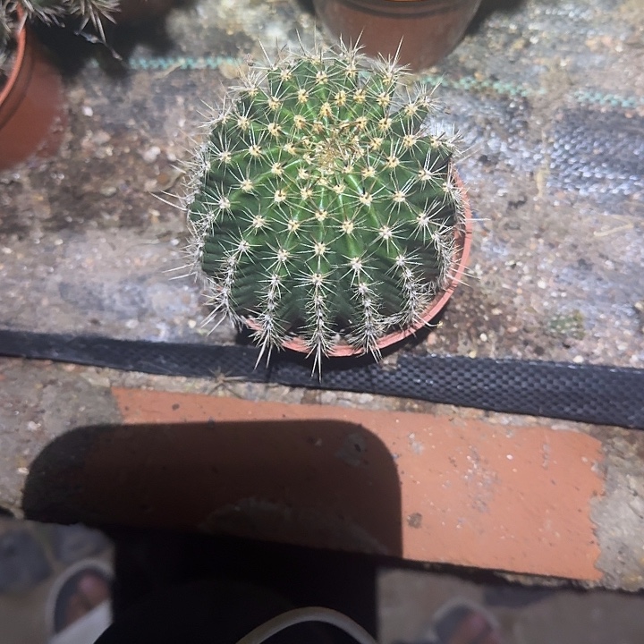 冰***火无花朵彩草哈哈哈哈哈哈哈哈