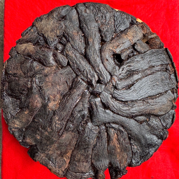 云南土特产-高丽参（饼）