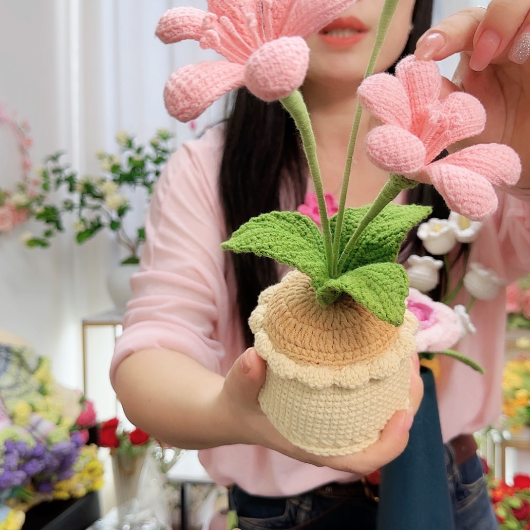莱赛尔纤维棉手工钩织盆栽