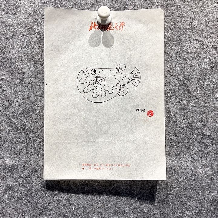 书法美林速写的作品