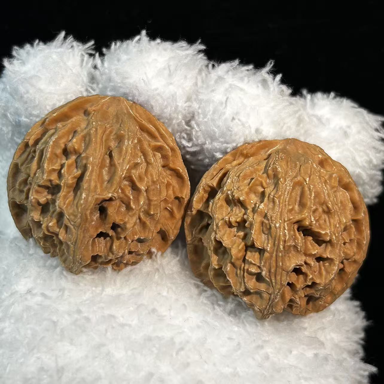 全品白茬苹果园--D047