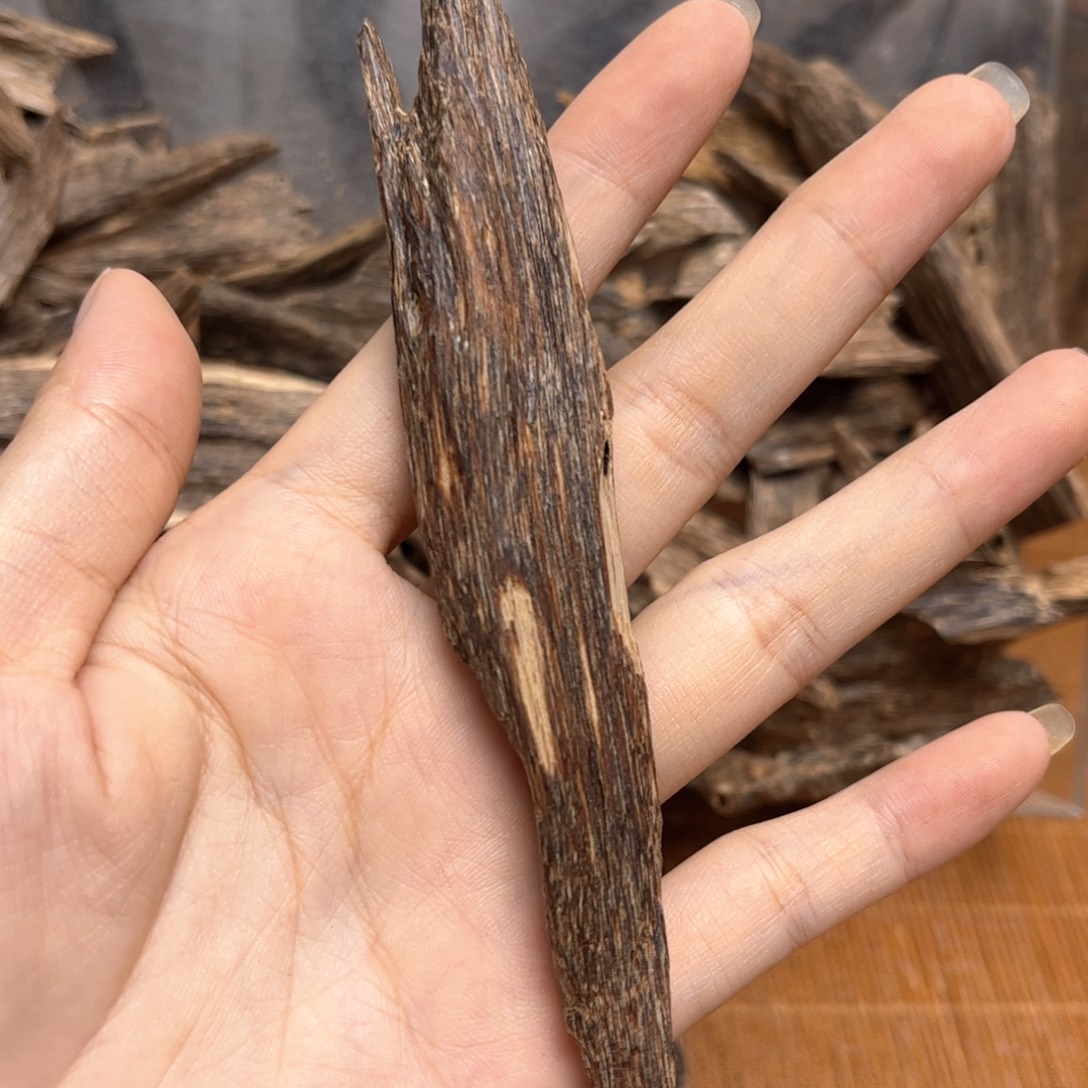用***1香榧木海南虫漏树心5.6克