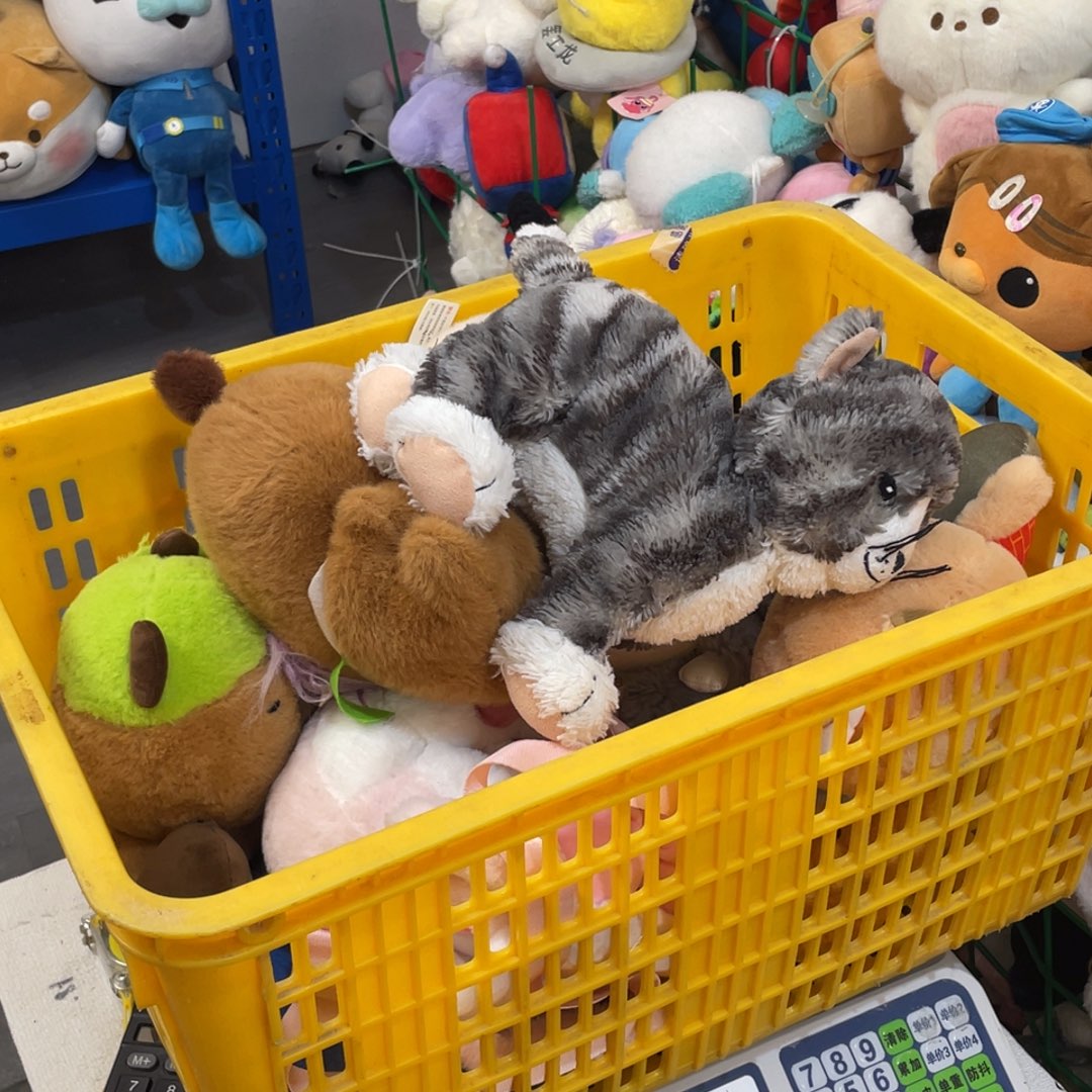 毛绒0160000000000000