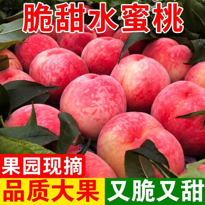 【正宗平谷水蜜桃】软脆两吃鲜甜多汁新鲜采摘头茬水蜜桃桃子同城送北京市