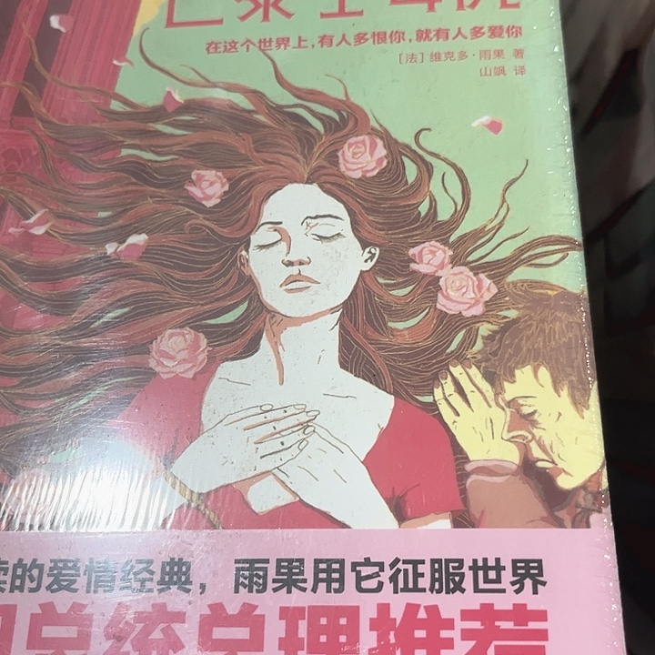 巴黎圣母院全新精装