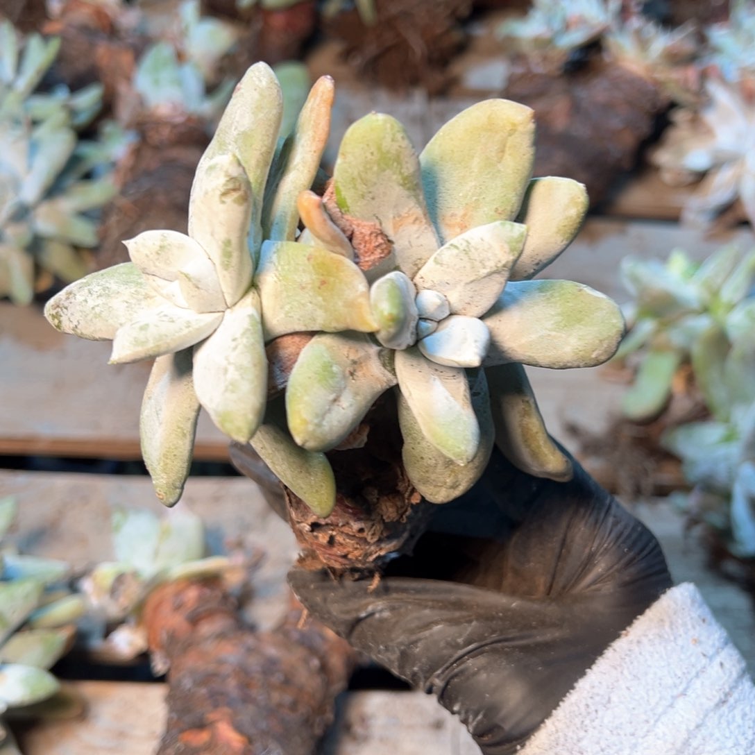 7886哈哈哈哈哈哈哈哈