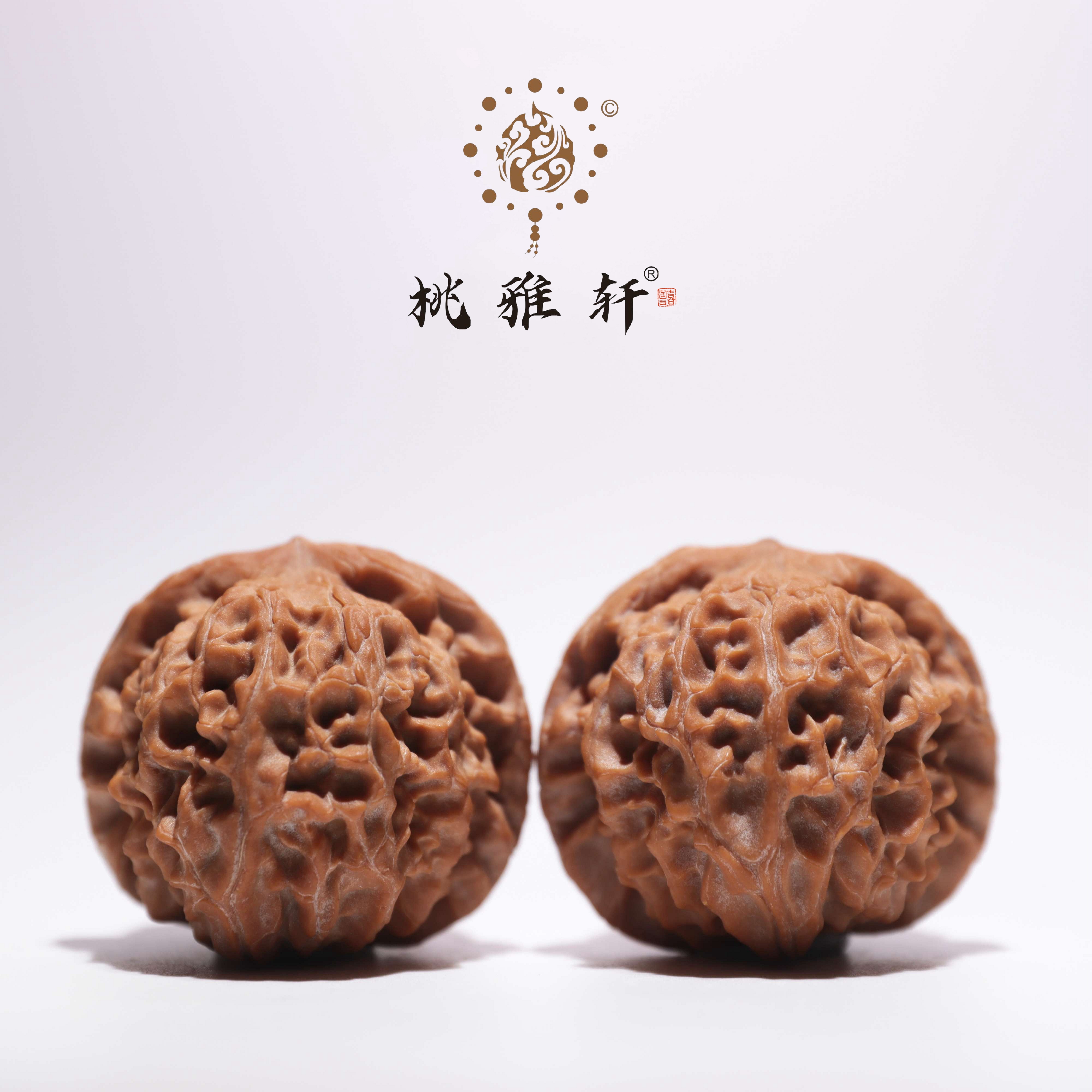 龙眼 · 36-39-32 一物一图