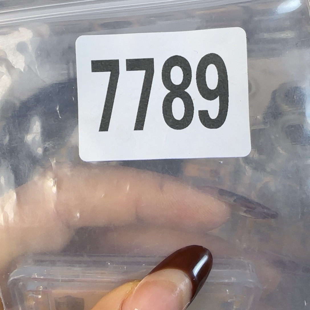 新号开播福利多多