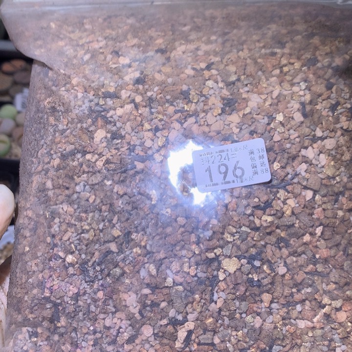 精品生石花224.196全颗粒土2升多肉